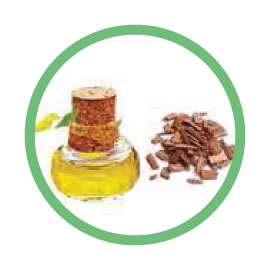 Chandan-(Sandalwood)-Oil