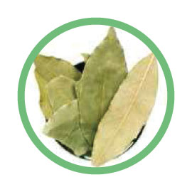 Tamal-Patra