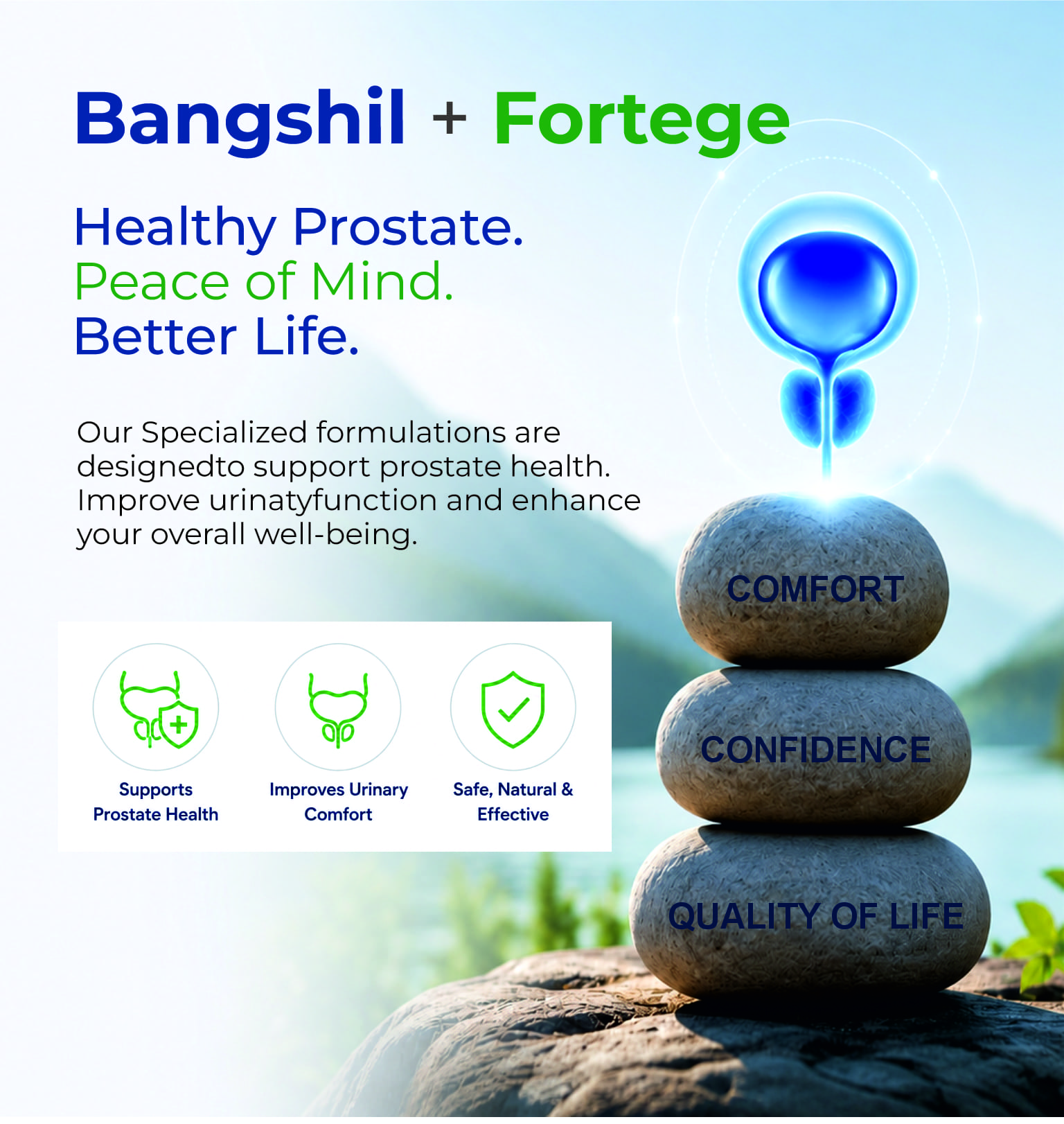 Bangshil fortege banner2